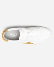 Load image into Gallery viewer, Everlane court sneaker